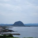 덕수리1460 이미지