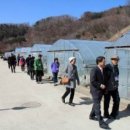 박종기농장 Daum카페