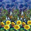 매직아이 - 군산시 | 매직아이