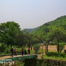 예미초 고성분교장 이미지