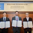 이그니스 이미지