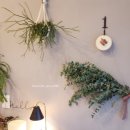 문덕농장 이미지