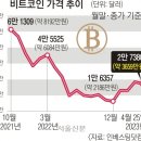 암호화폐 겨울 정말 끝났나… “비트코인 내년 10만弗 간다” 이미지