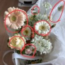 뮤즈결혼정보 | 웨딩촬영] 후회없는 가성비 최고 &#39;드뮤즈 스냅&#39; , 서브 아이폰스냅 후기 (기장 노이스튜디오/ 촬영 부케...