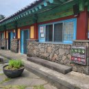 제주 아이랑 갈만한 곳 혼인지 6월 수국이 만개했어요