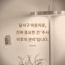 더데이의원 | 대구 달서구 마운자로, 주사만 맞으면 빠질까요? 진짜 중요한 건 ‘주사 이후의 관리’입니다.