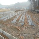 삼전보건진료소 이미지