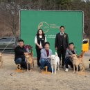 달구벌진도 이미지