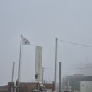 후평리 | [탐조] 251122 김포 후평리~하동천 탐조 후기