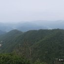 [국도34] 괴산군 적석리 Daum카페