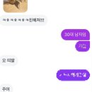정직한멜로디공연 | 도쿄