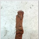 토우 이미지