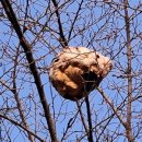 칠곡종합운동장 | 칠곡군 왜관읍 산두봉, 아망산