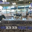 효진목장 이미지