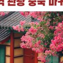 글로벌엠씨엔
