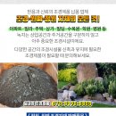 대우카세차장 이미지