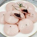 지투지 이미지