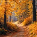 후 노래연습장 이미지