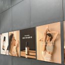 선영식품 - 중구 | 사운드오브웰니스ㅣ더현대서울, 웰니스 페스티벌 후기