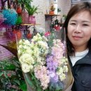 담쟁이화원 이미지