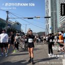 수영교 | 2025 제23회 KNN환경마라톤, 10K 후기