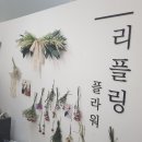 (리본프린터)수원권선구 리플링플라워~피톤치드로 집안의 상쾌함을~