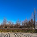 천년의 정원 | 경주 가볼 만한 곳 단풍 명소 천년의숲정원 겨울 산책 후기