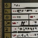 대전 눈썹 , 내 인생 눈썹 완성! 히썹 대표원장님 한테 섀도우 브로우 받고 왔어요