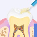 김앤박치과의원 이미지