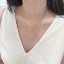 (주)데일리짐 | 데일리 명품 목걸이 착붙 기본템을 찾아서..(반클리프아펠,부쉐론,불가리,쇼메,티파니 실물 후기)