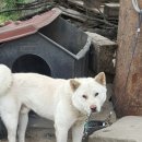 덕양민박 이미지