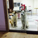 헤펠레 목공방