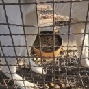 보내농장 이미지