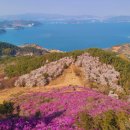 대금산진달래길(트레킹) 이미지