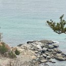 숲속의바다 바다동 이미지