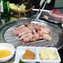 참돈 이미지