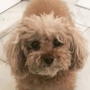 무지개다리 이미지