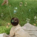 머머스튜디오