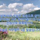 히네니2 이미지