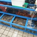 부자수산회센타