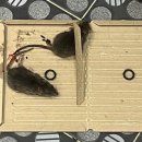 대전유성소방서 1층 | 대전 유성구 아파트 1층 세탁실 쥐퇴치 및 쥐벼룩 방역 후기 (업체명: 미소창방역)