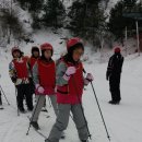 대마초등학교 이미지