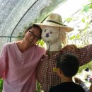 텃밭협동조합 이미지