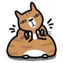 동구종합동물병원 이미지