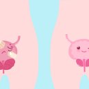 원일초등학교 이미지