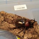 채연농장 이미지