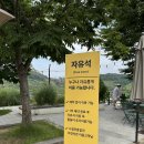 청도 물놀이 카페 소우주 후기｜유아도 놀기 좋은 얕은 물놀이장