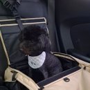 꾸꾸멈머 이미지