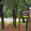 정이품송공원 화장실 이미지