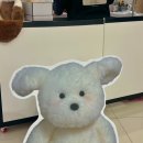 [서울 영등포 타임스퀘어] - CHEROP GIFT SHOP POP UP / 내돈내산 후기